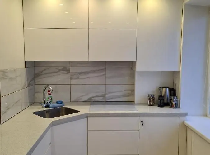 River View In 카우나스